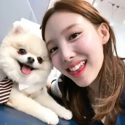 纪成